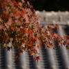 松山城　二の丸庭園　紅葉