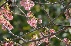 新しい季節の始まり(^O^)