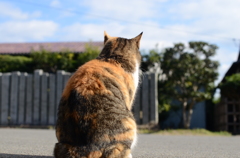 何を見てるの?