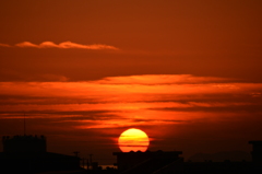 太陽に萌えろ！