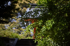 金刀比羅宮にて　