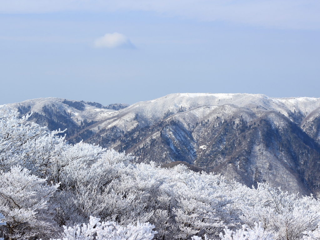 雪山と樹氷