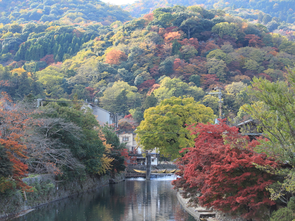 嵐山の秋