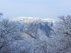 雪山と樹氷2