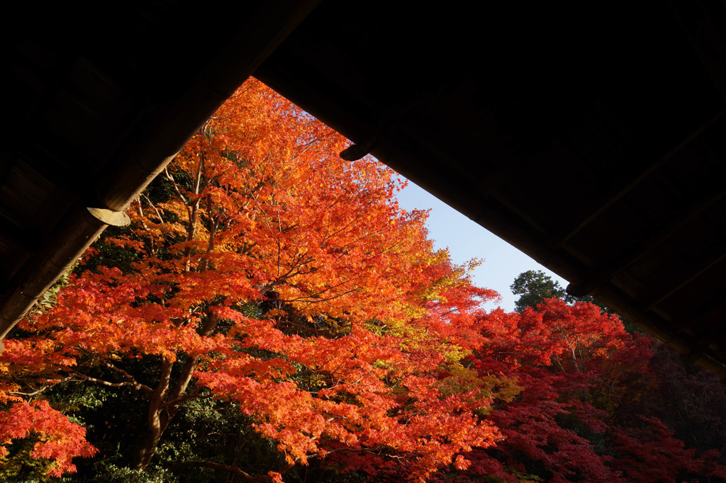 詩仙堂の紅葉
