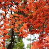 2013 教林坊 06