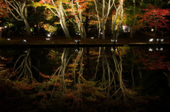 2014曽木公園④