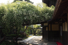 小栗家庭