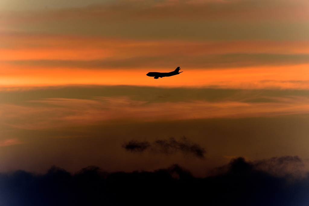 夕空に飛ぶ