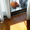 春の到来を感じさせる陽射し