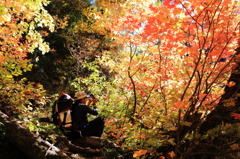 紅葉撮るよ～！