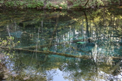神の子池