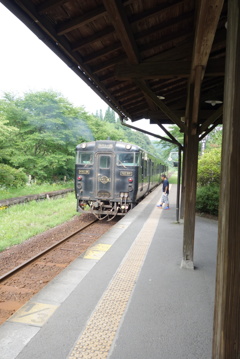 はやとの風