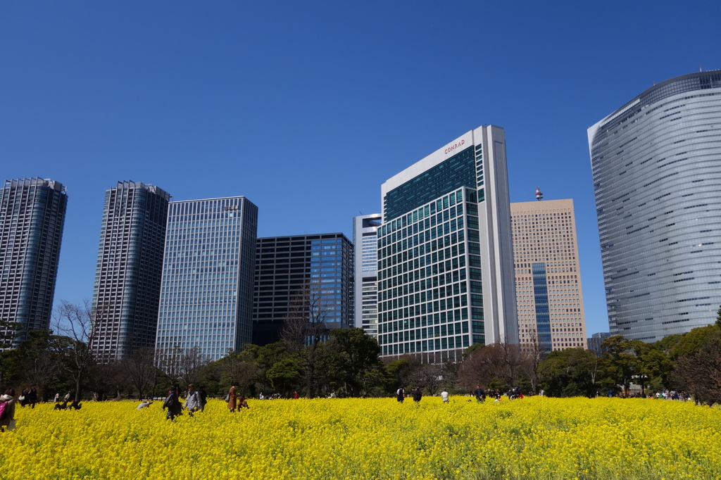 浜離宮恩賜庭園