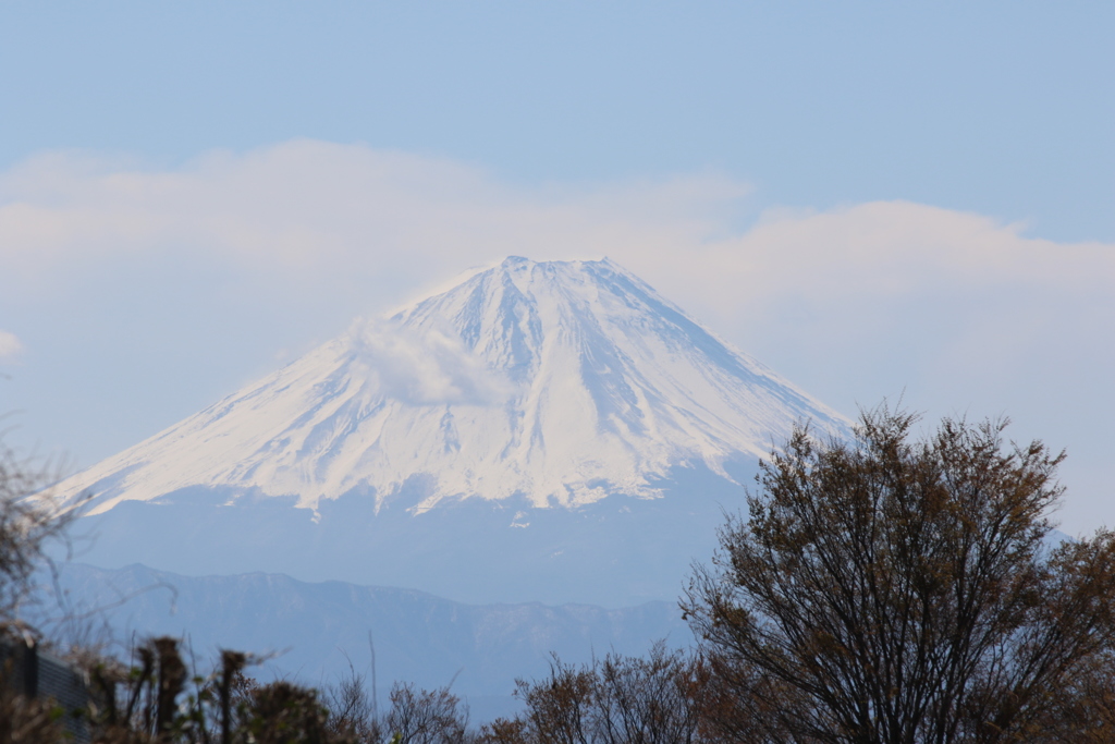 雪残富士