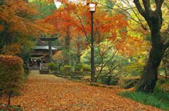 阿蘇の神社