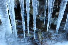 氷柱と水面