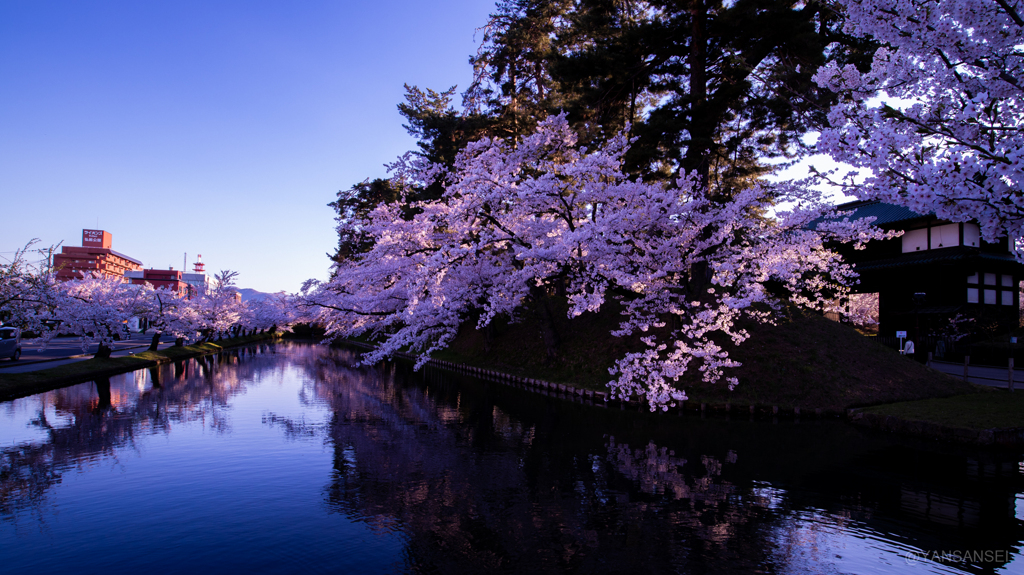 弘前さくらまつり夕景