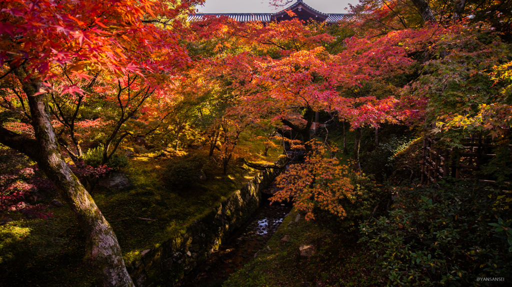 京都 東福寺