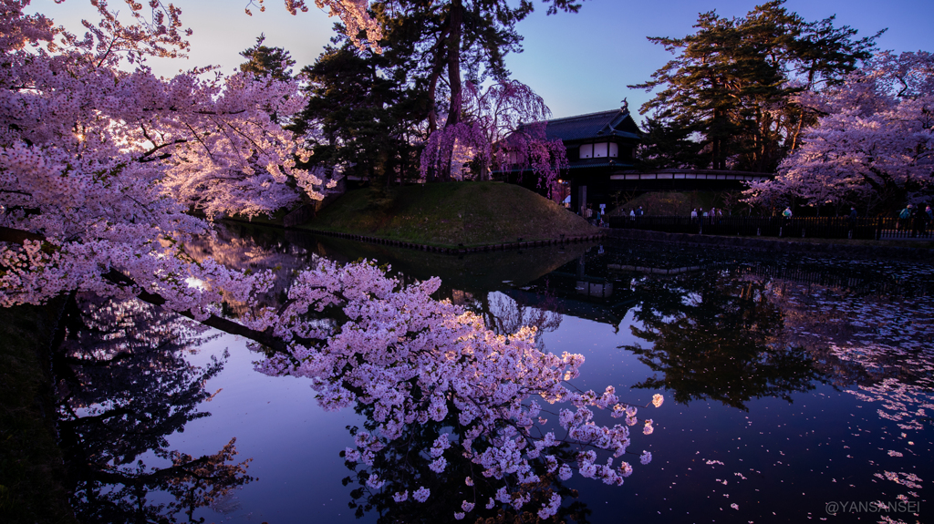 弘前さくらまつり夕景