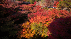 京都 東福寺