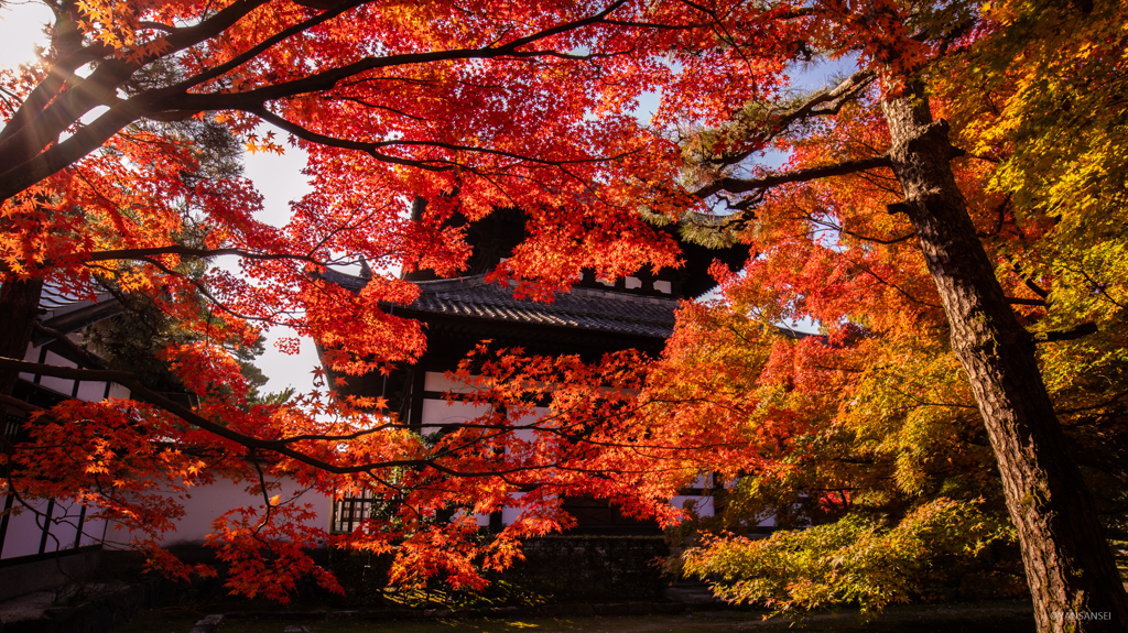 京都 東福寺