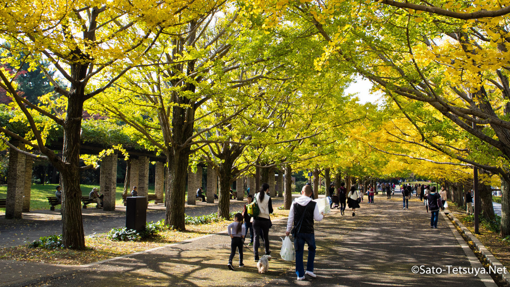 2016秋 昭和記念公園