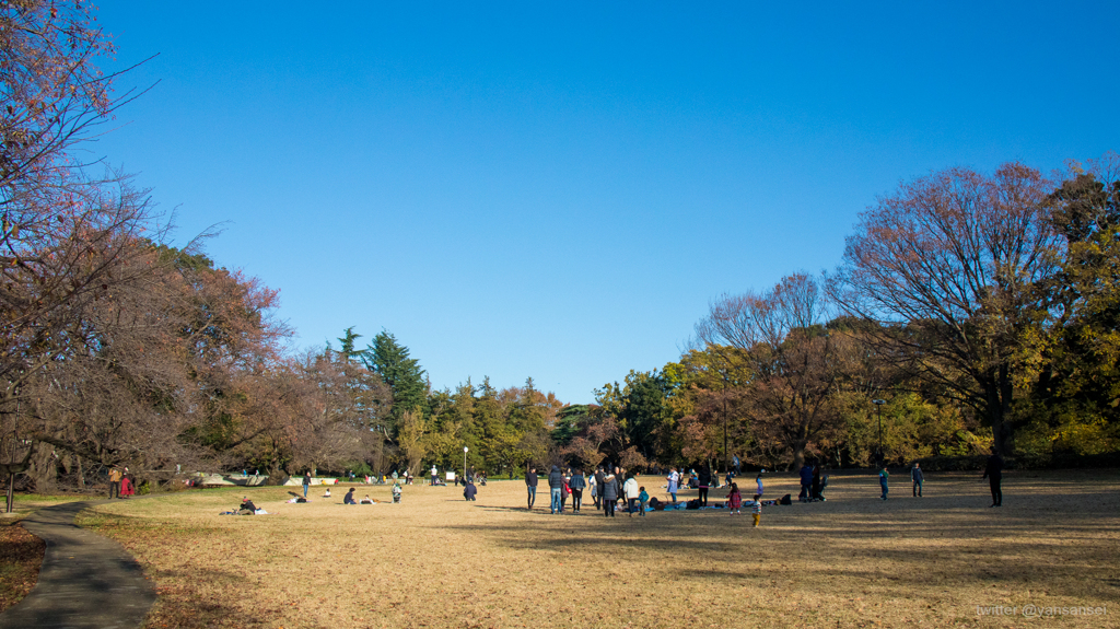 砧公園の紅葉