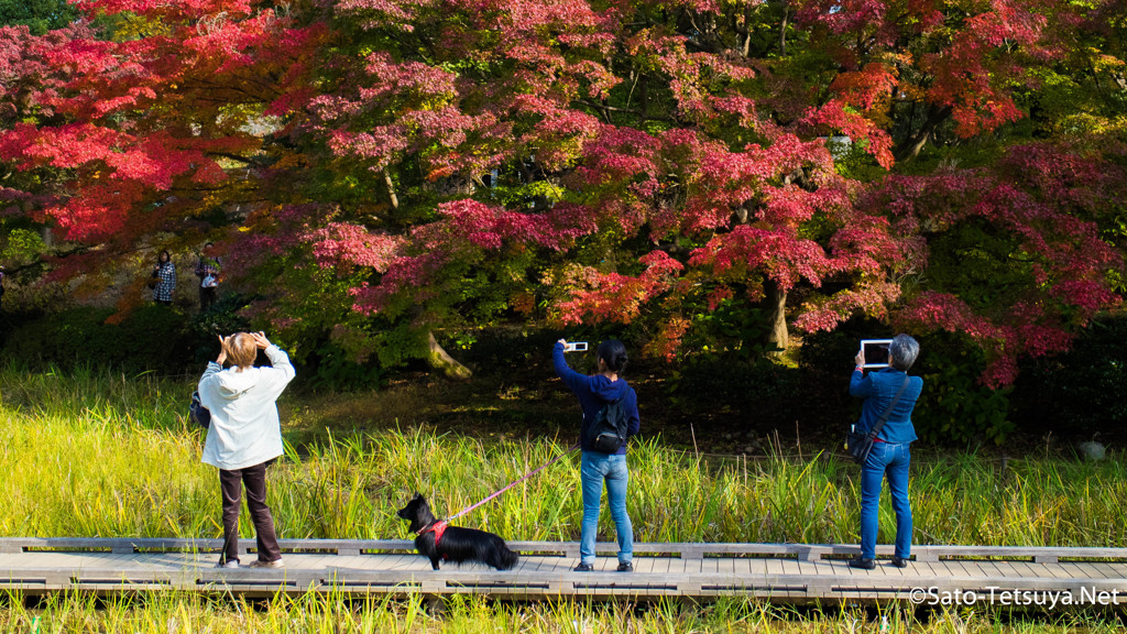 2016秋 昭和記念公園