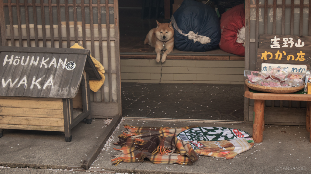 吉野山のお店