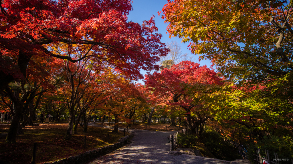 京都 東福寺