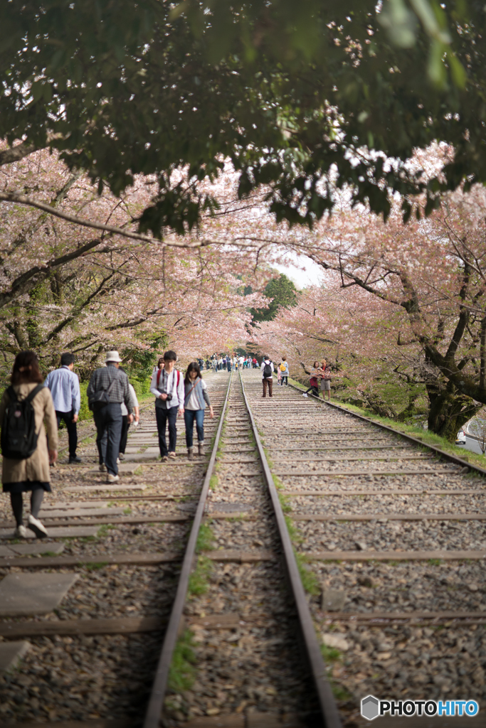train train