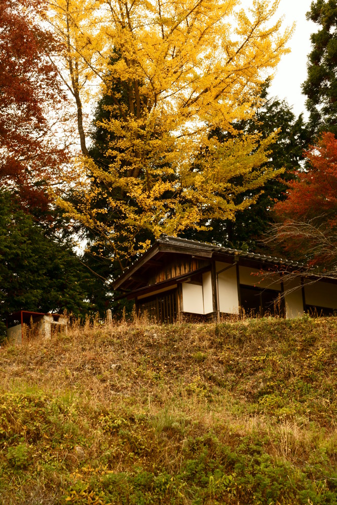 秋と古屋