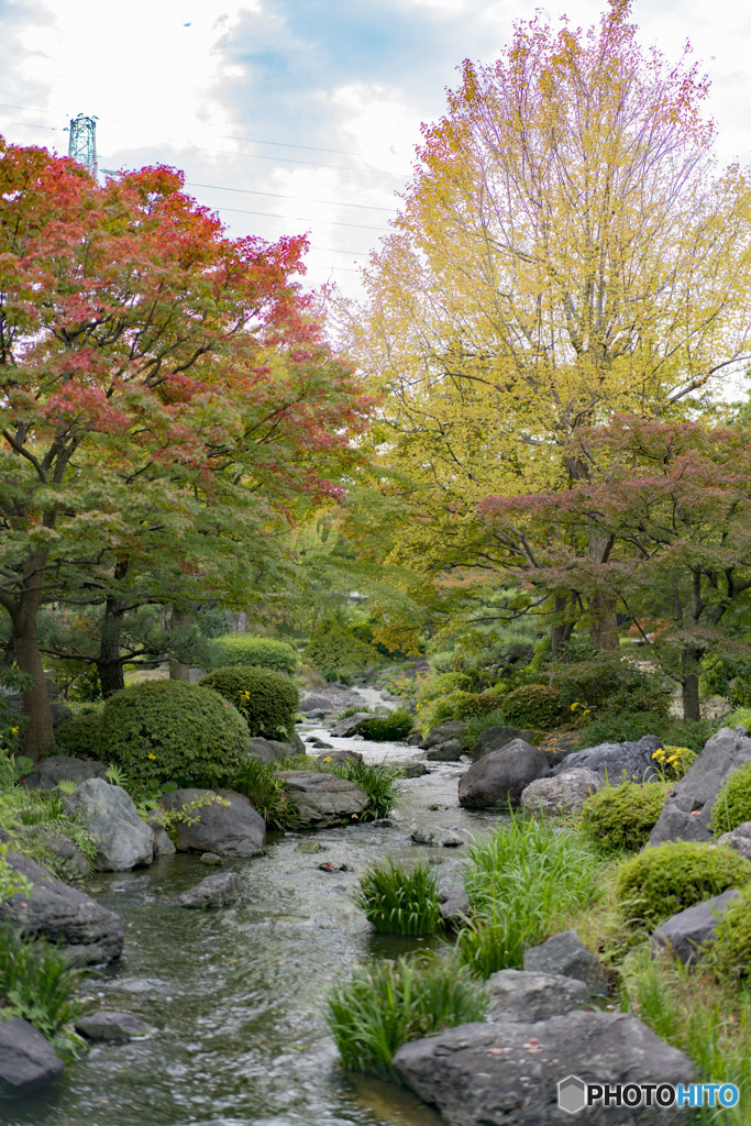 小川　紅葉