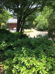 根津神社