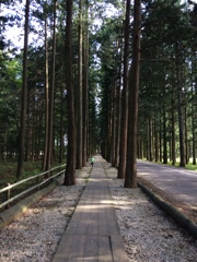 那須　千本松牧場