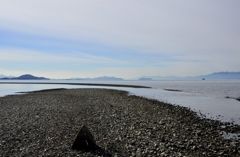 初冬琵琶湖の風景