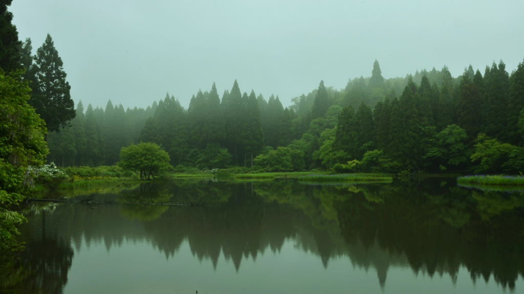 初夏の平池Ⅰ