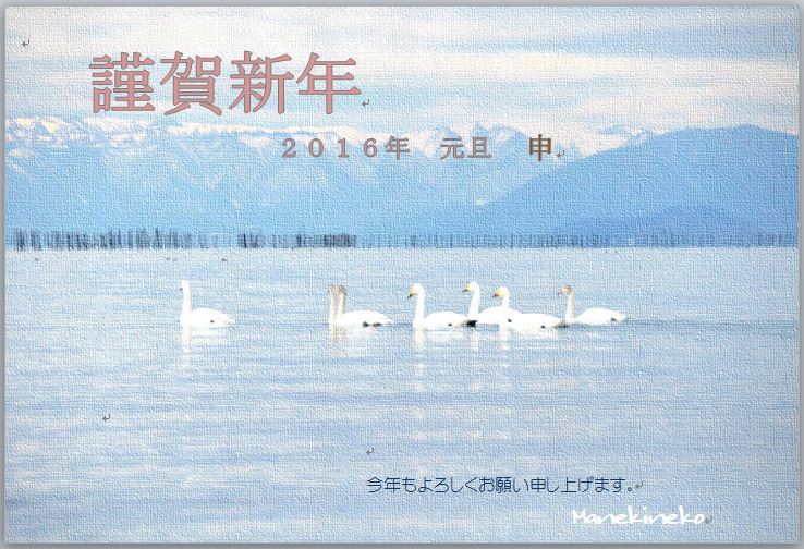 暖かいお正月です。