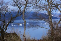 冬　琵琶湖の風景　～お願い～