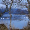 冬　琵琶湖の風景　～お願い～