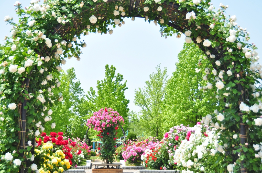 憩いの花園