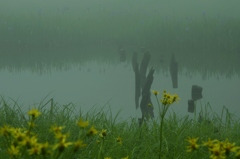 霧の平池