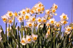 120.あおぞらコーラス隊