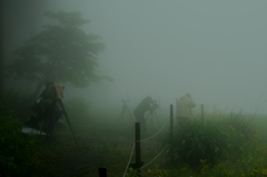 霧の中のカメラマン