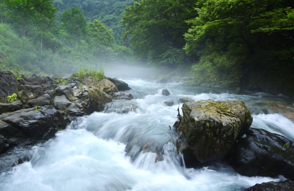 清流に遊ぶ
