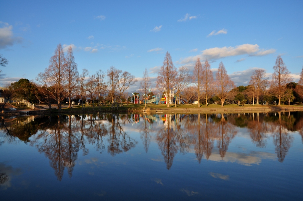公園は春模様