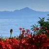 涼やかな秋の風景
