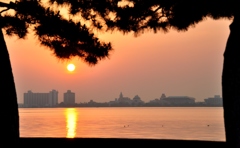 琵琶湖　春の朝