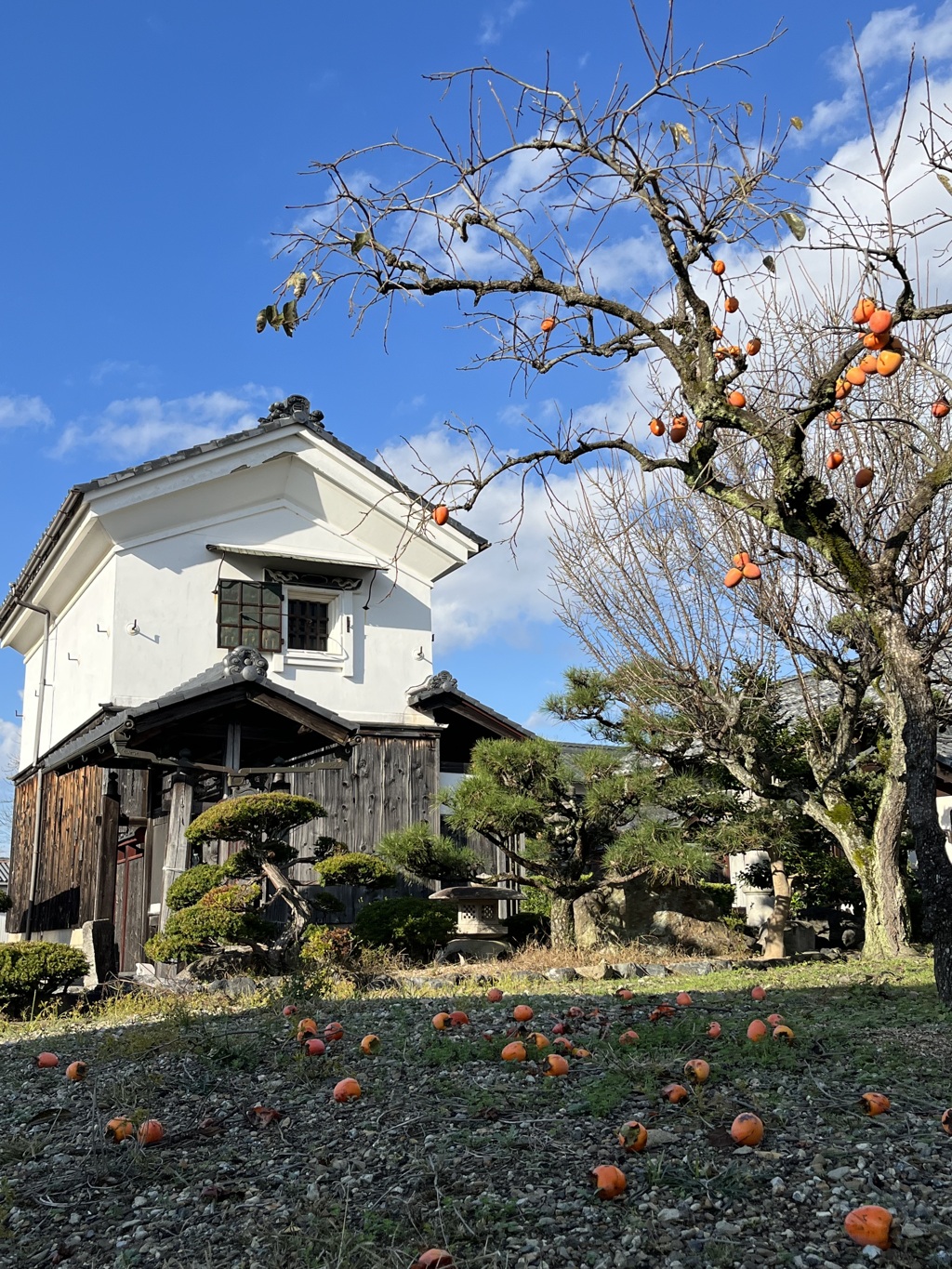 お散歩フォト〜秋の風景〜